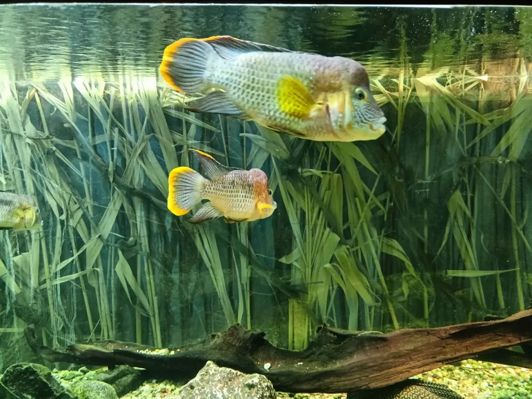 Palmiarnia w Łodzi